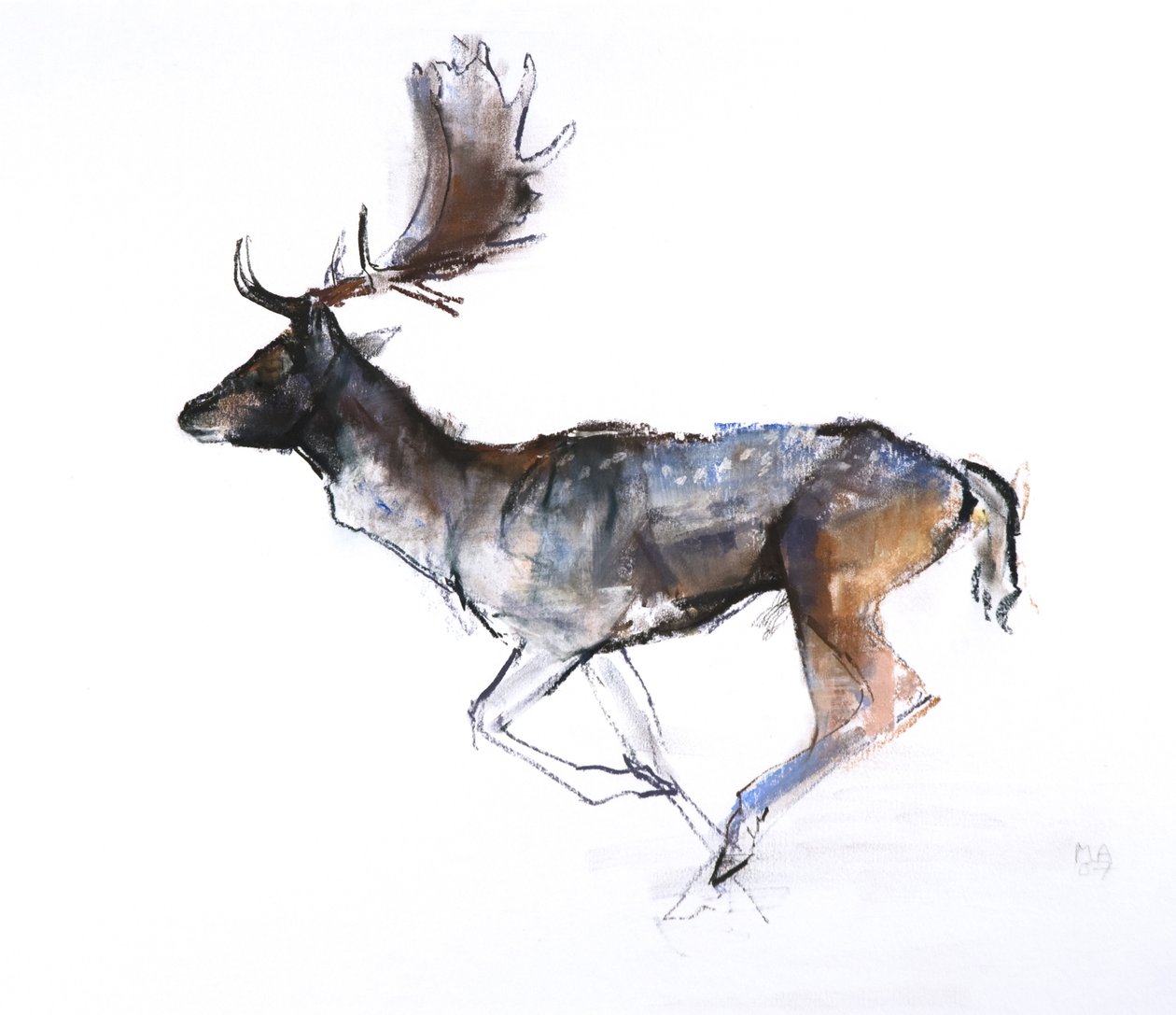 Evening Buck (Gamo), 2007, (pastel e conté no papel) de Mark Adlington