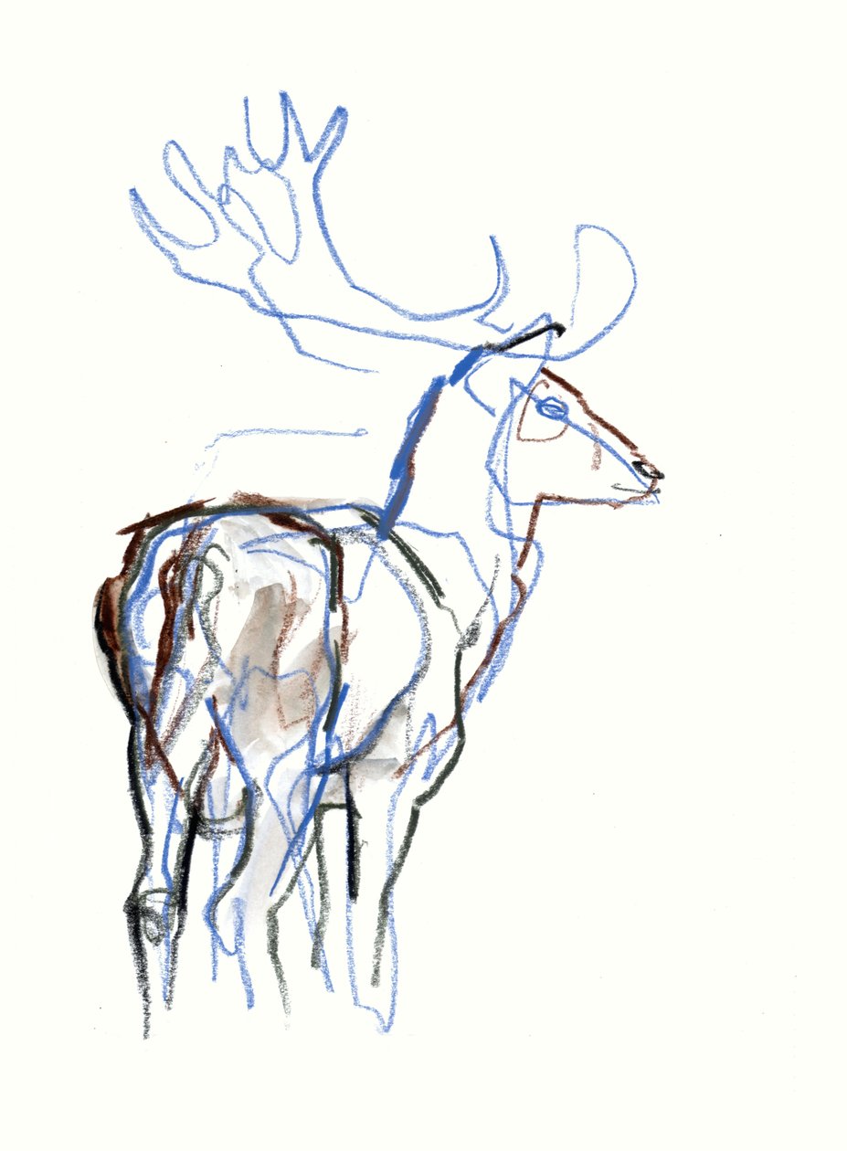 Fallow Buck, 2021 de Mark Adlington