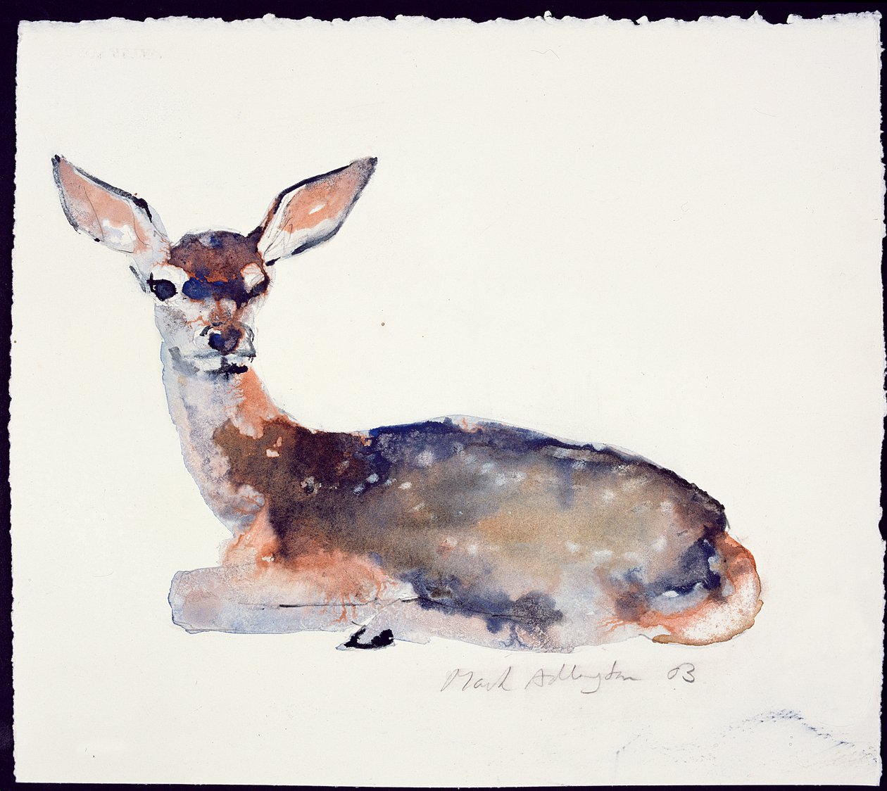 Fawn, 2003 (tinta e aguarela sobre papel) de Mark Adlington