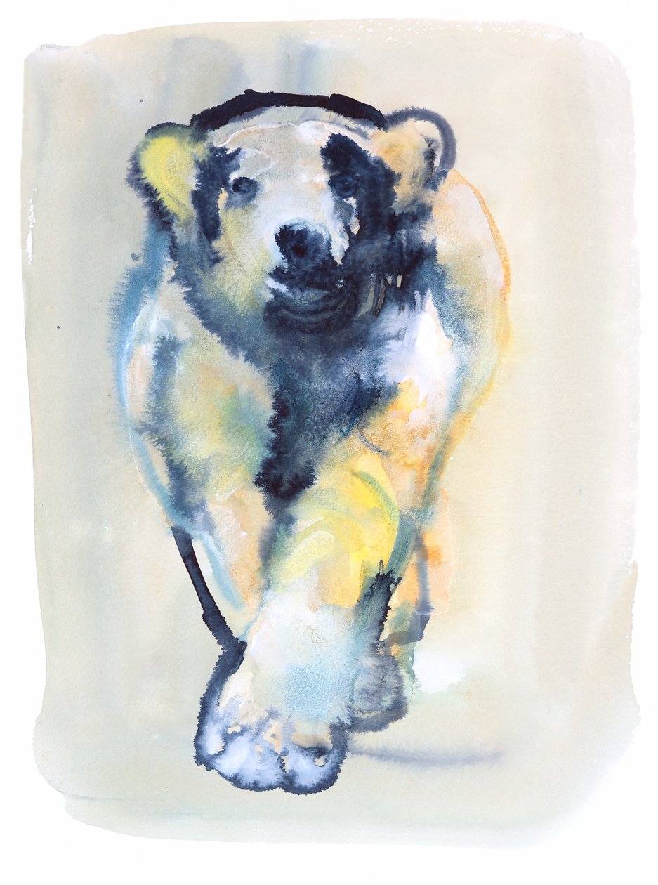 Sem Medo, 2015 (aguarela e guache sobre papel) de Mark Adlington