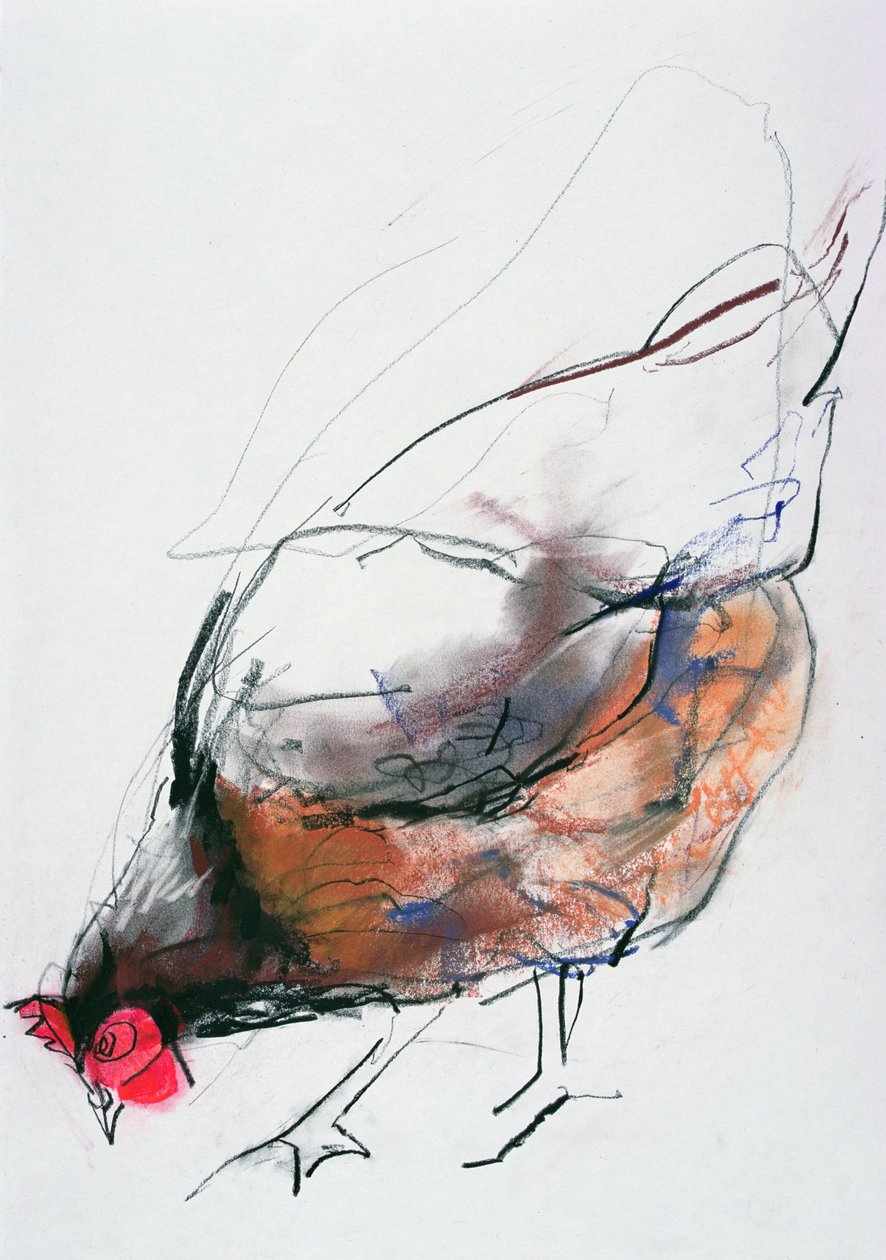 Alimentando Hen, Trasierra, 1998 (grafite, conte e carvão no papel) de Mark Adlington
