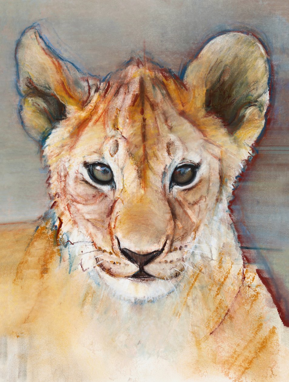 Cubo feroz, Masai Mara, 2019 de Mark Adlington