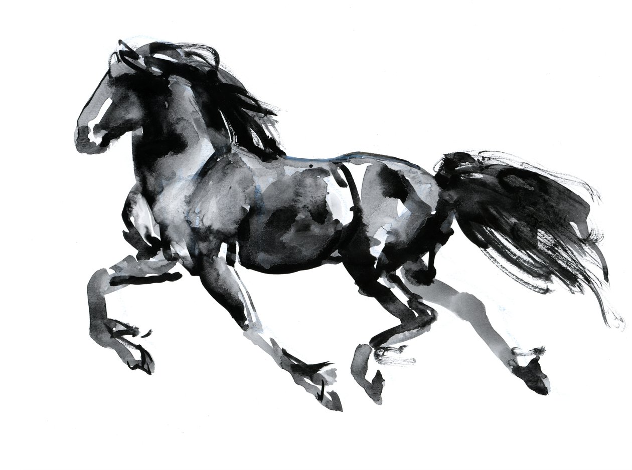 Flying Friesian, 2015, (tinta chinesa sobre papel) de Mark Adlington