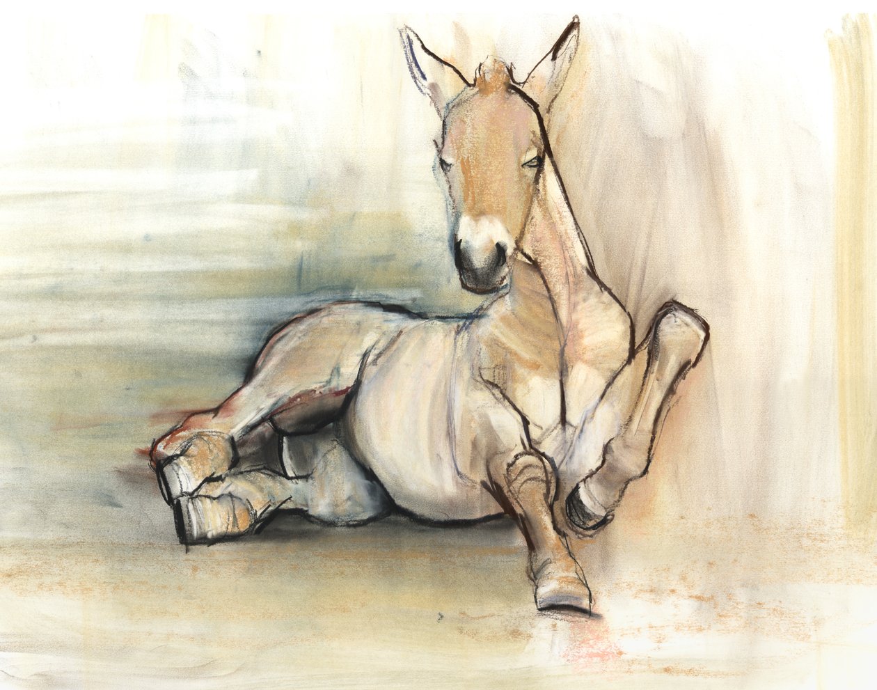 Potro, 2012, (carvão conté e pastel sobre papel) de Mark Adlington