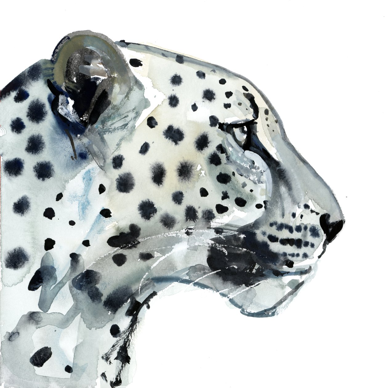 Foco, 2015, (aquarela em papel) de Mark Adlington