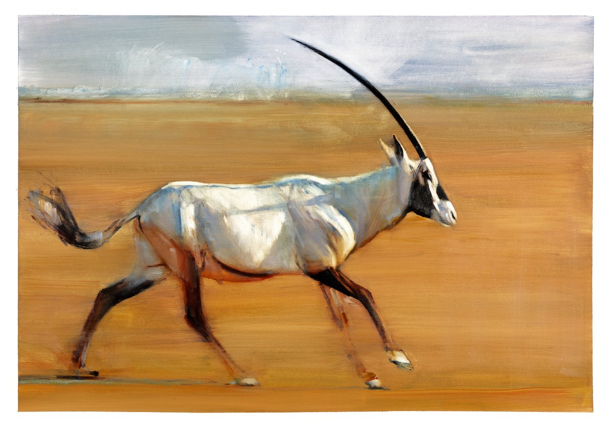 Oryx Galopante, 2010 (óleo sobre papel) de Mark Adlington