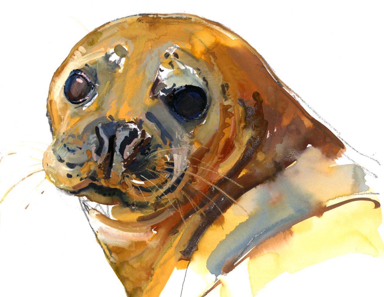 Ginger Pup, Westcove, 2023 de Mark Adlington