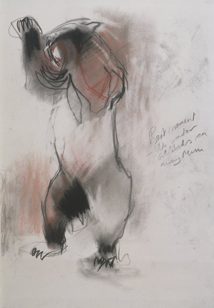 Grizzly, 1995 (carvão, grafite e conte no papel) de Mark Adlington