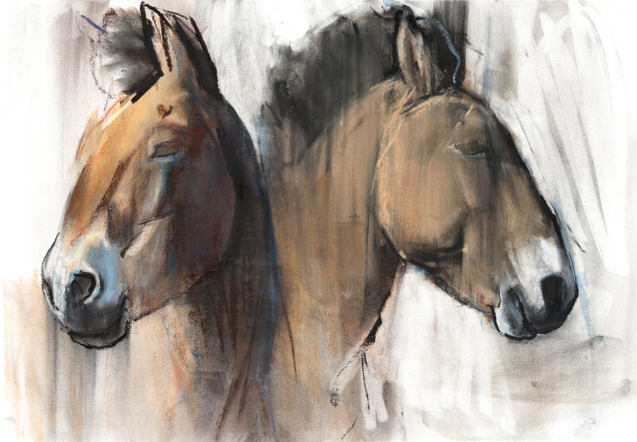 Head Study (Przewalski) 2012, (carvão, conté e pastel sobre papel) de Mark Adlington