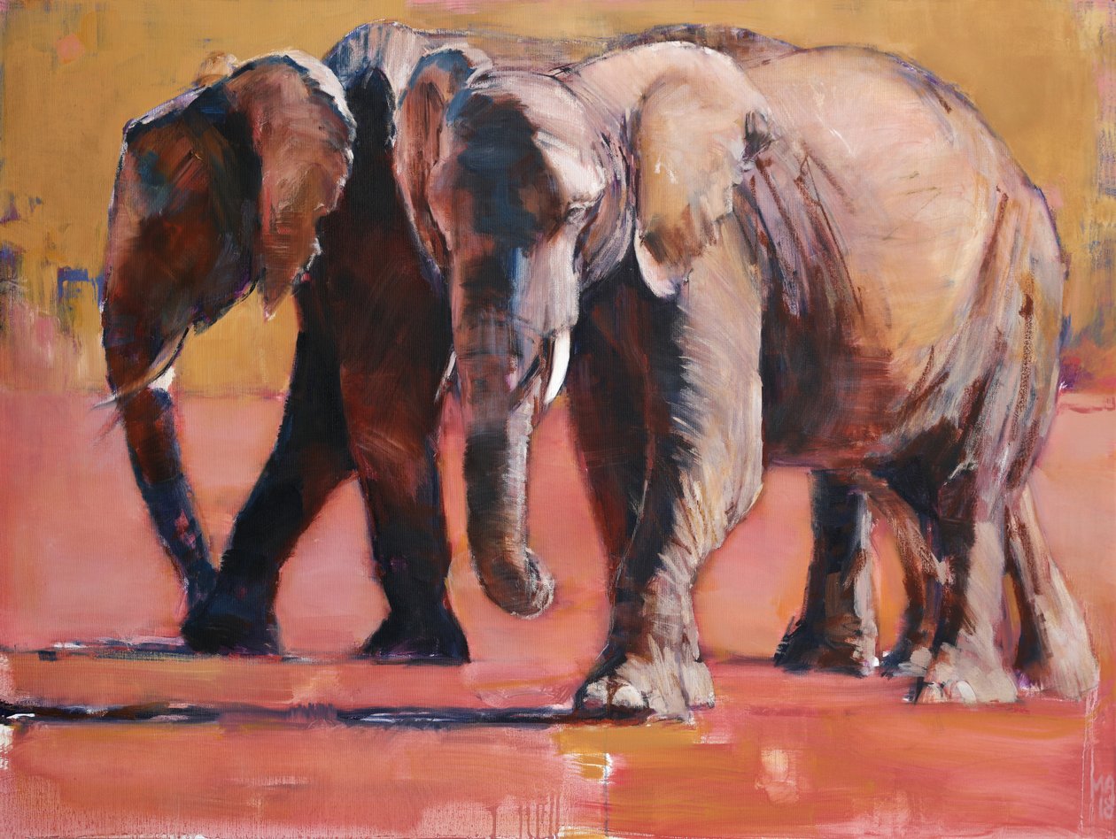 Calor, Ol Pejeta, 2018 de Mark Adlington