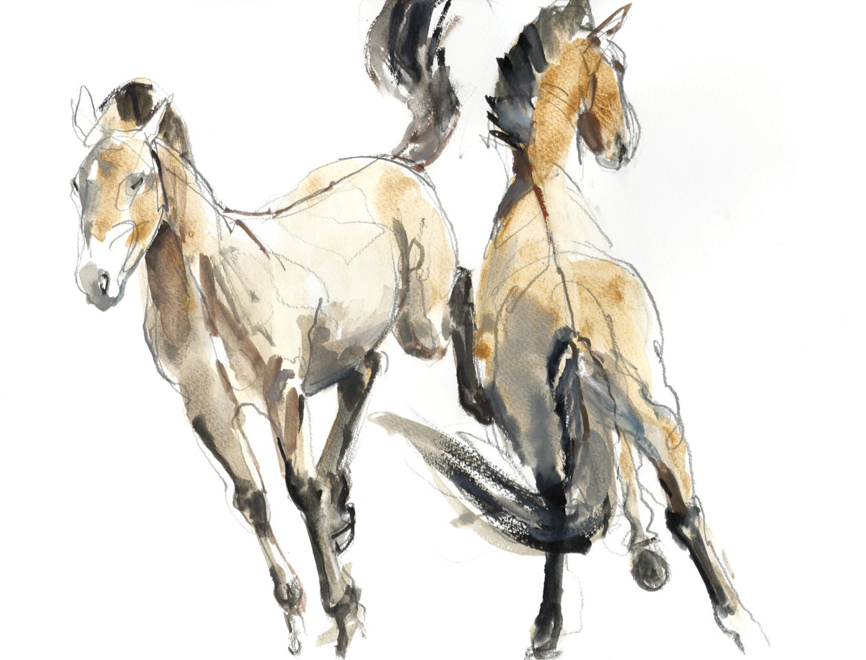 Horsing, 2013 (aquarela e pigmento no papel) de Mark Adlington