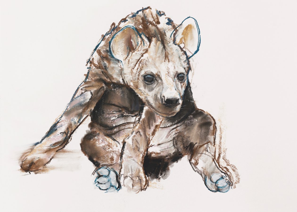 Hyaena Pup (cabeça para baixo), 2019 de Mark Adlington