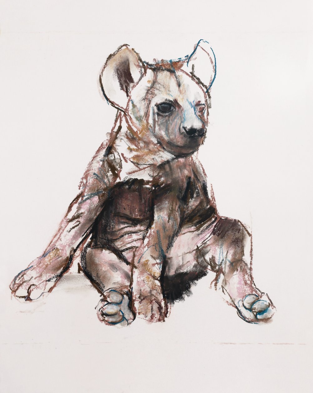 Hyaena Pup (sentada), 2019 de Mark Adlington