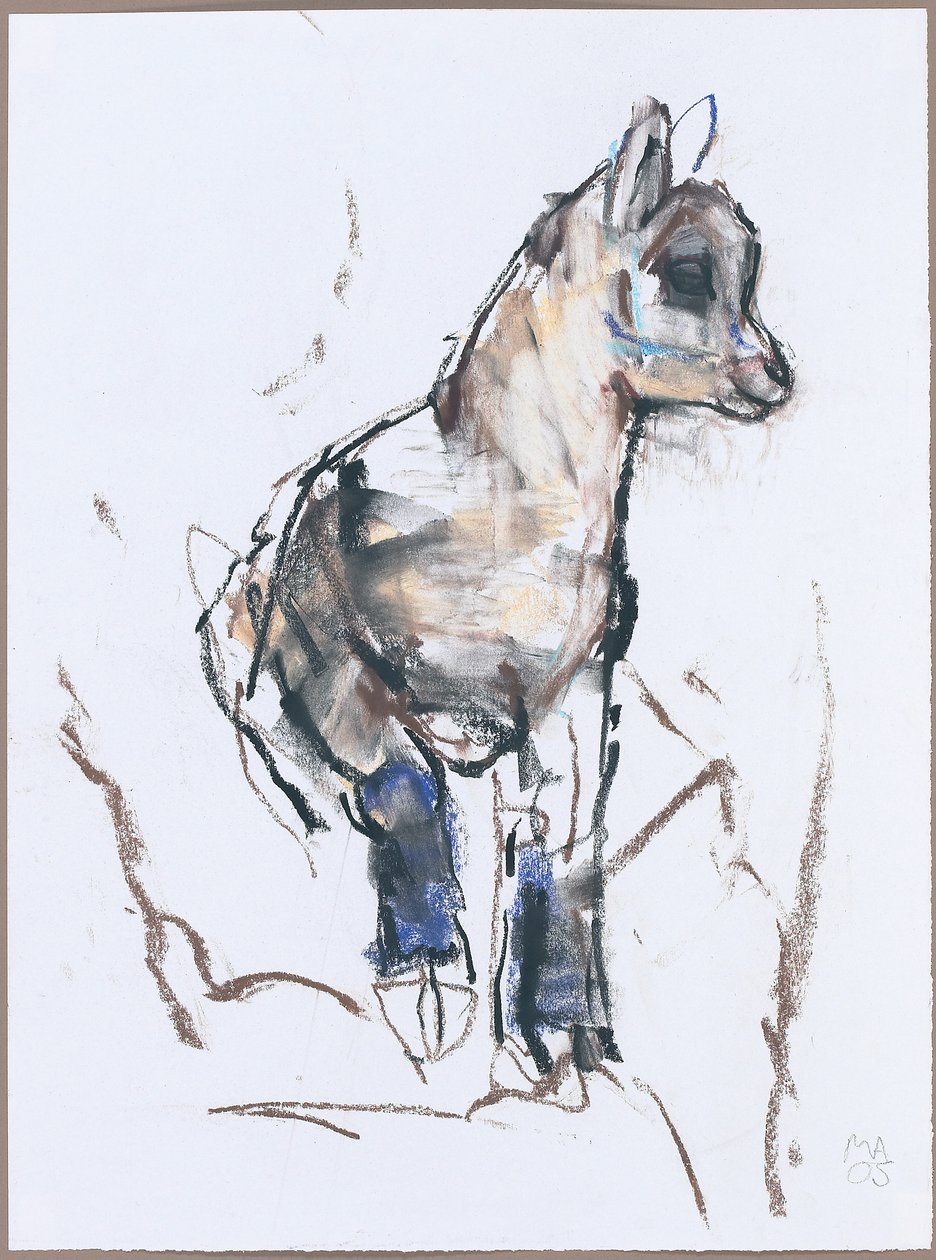 Ibex Kid (carvão e conte no papel) de Mark Adlington