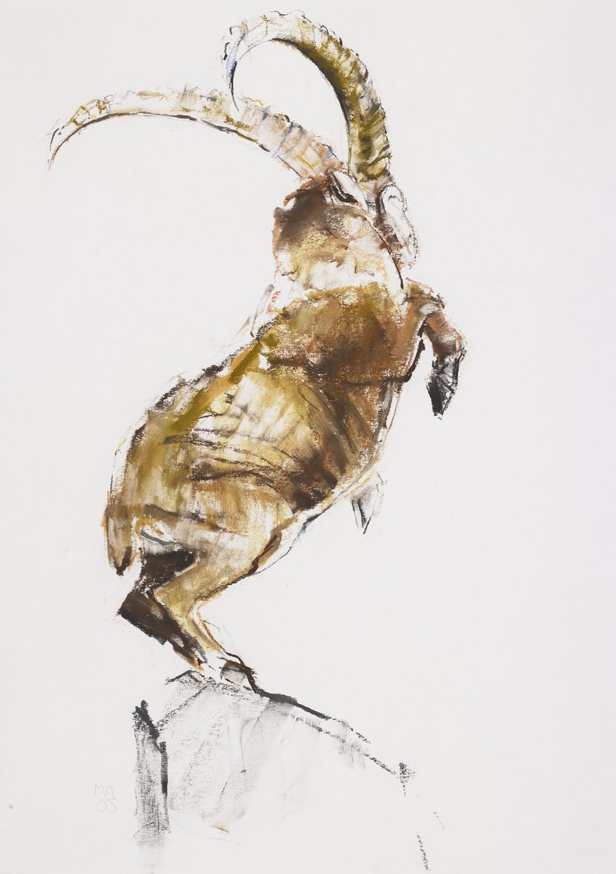 Rei da Montanha, 2005 (carvão e conte no papel) de Mark Adlington