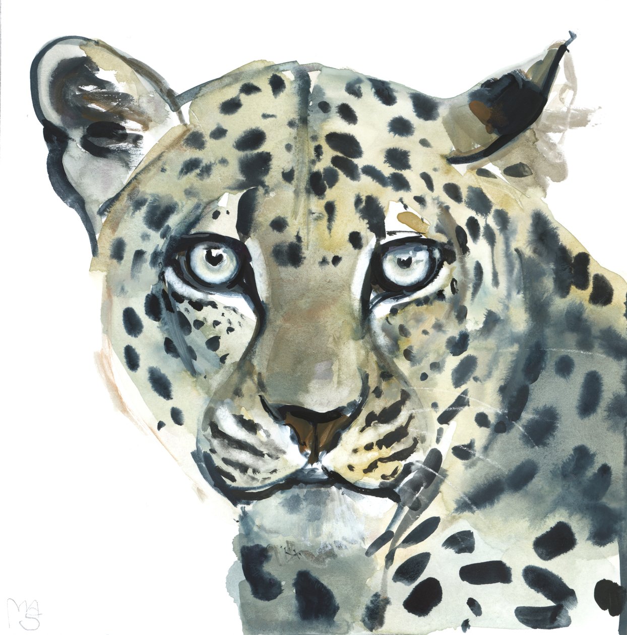 Leopardo, 2015, (aguarela sobre papel) de Mark Adlington