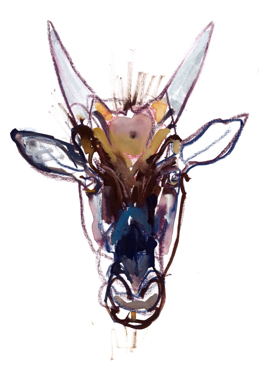 Diabinho (gnu), 2022 de Mark Adlington