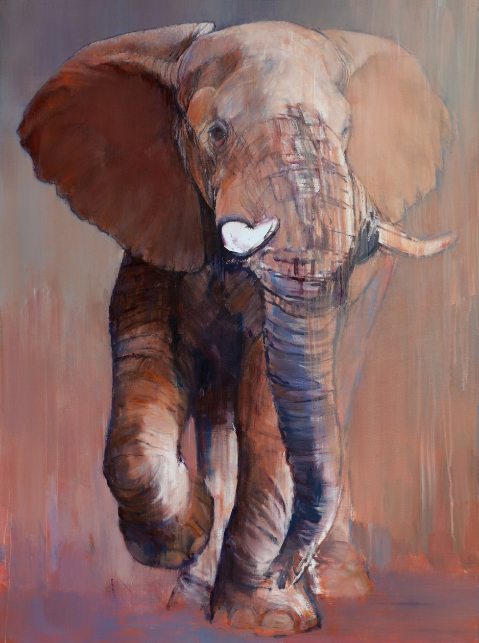 Loisaba Bull, 2018 de Mark Adlington