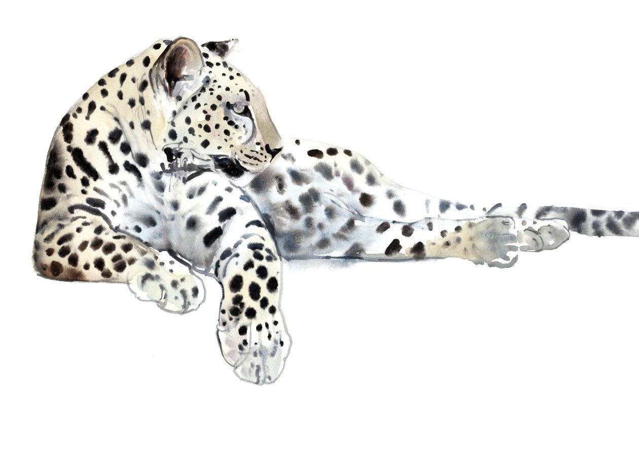 Longo (Leopardo Árabe), 2015, (aguarela e guache sobre papel) de Mark Adlington