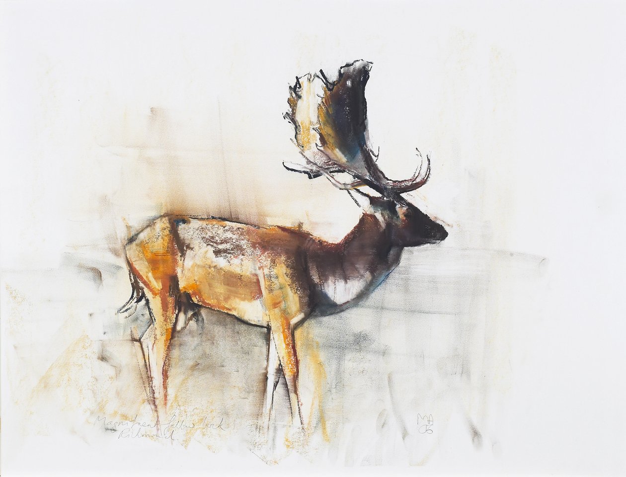 Magnificent Fallow Buck, 2006 (carvão vegetal e papel no papel) de Mark Adlington