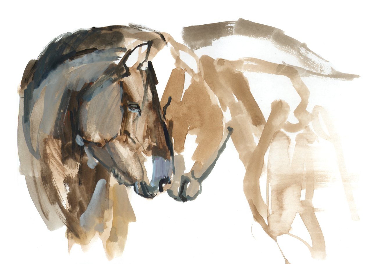 Nariz a Nariz (Przewalski), 2013 (tinta de aquarela, aquarela e guache) de Mark Adlington