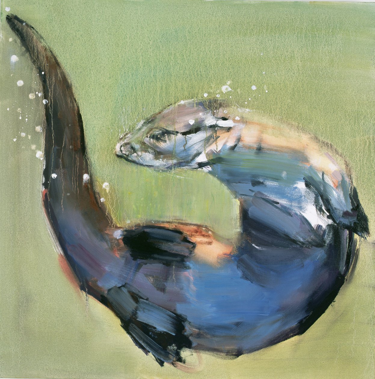 Lontra, 2003 de Mark Adlington