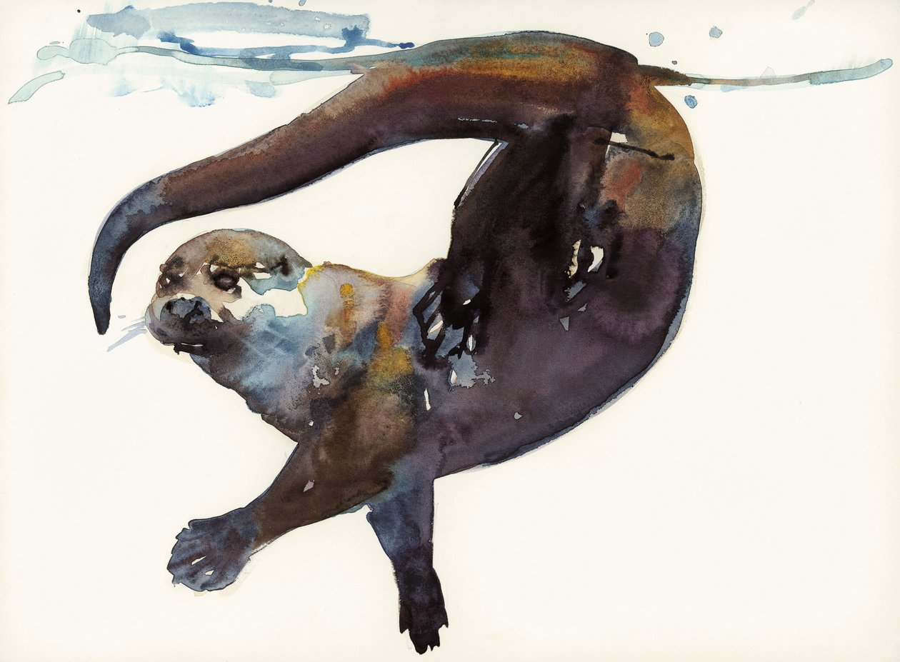 Estudo de Otter II - &39;Talker&39; de Mark Adlington