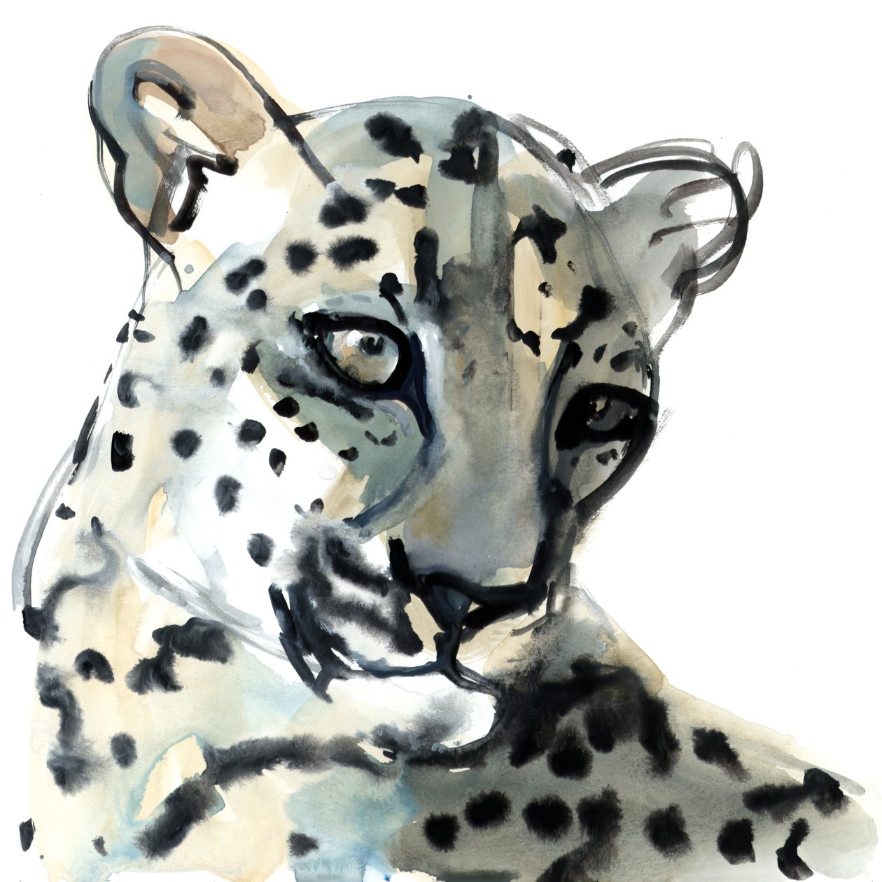 Persa, 2015, (aguarela sobre papel) de Mark Adlington