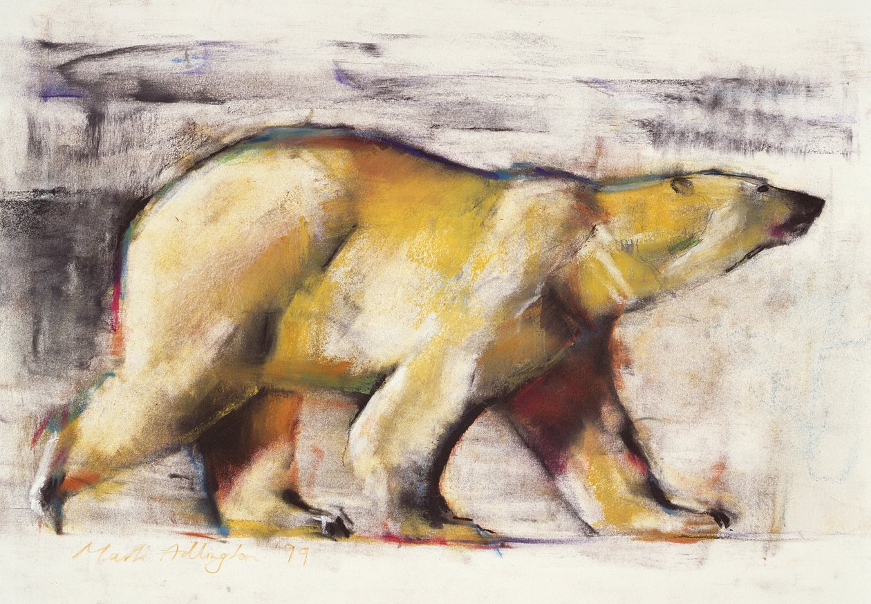 Urso Polar (mídia mista no papel) de Mark Adlington