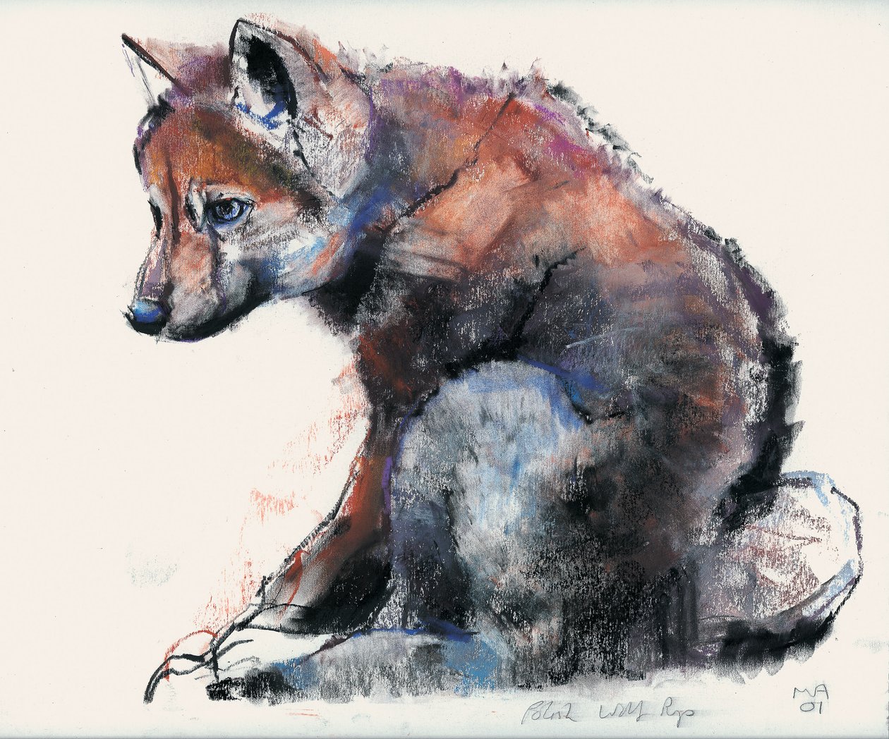 Wolf Pup polonês, 2001 (carvão e conte no papel) de Mark Adlington