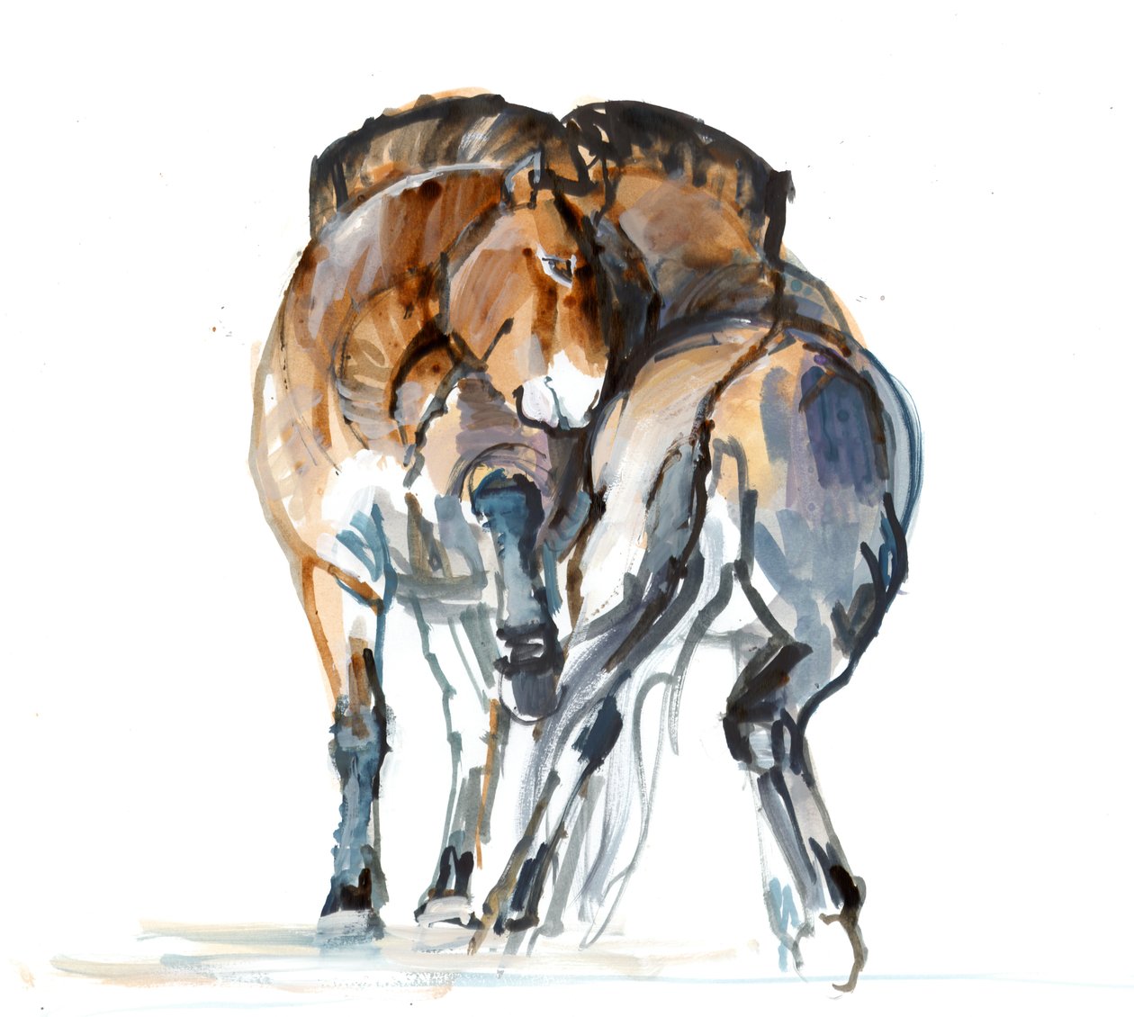 Power Dance (Przewalski), 2013 (tinta de aquarela, aquarela e guache) de Mark Adlington