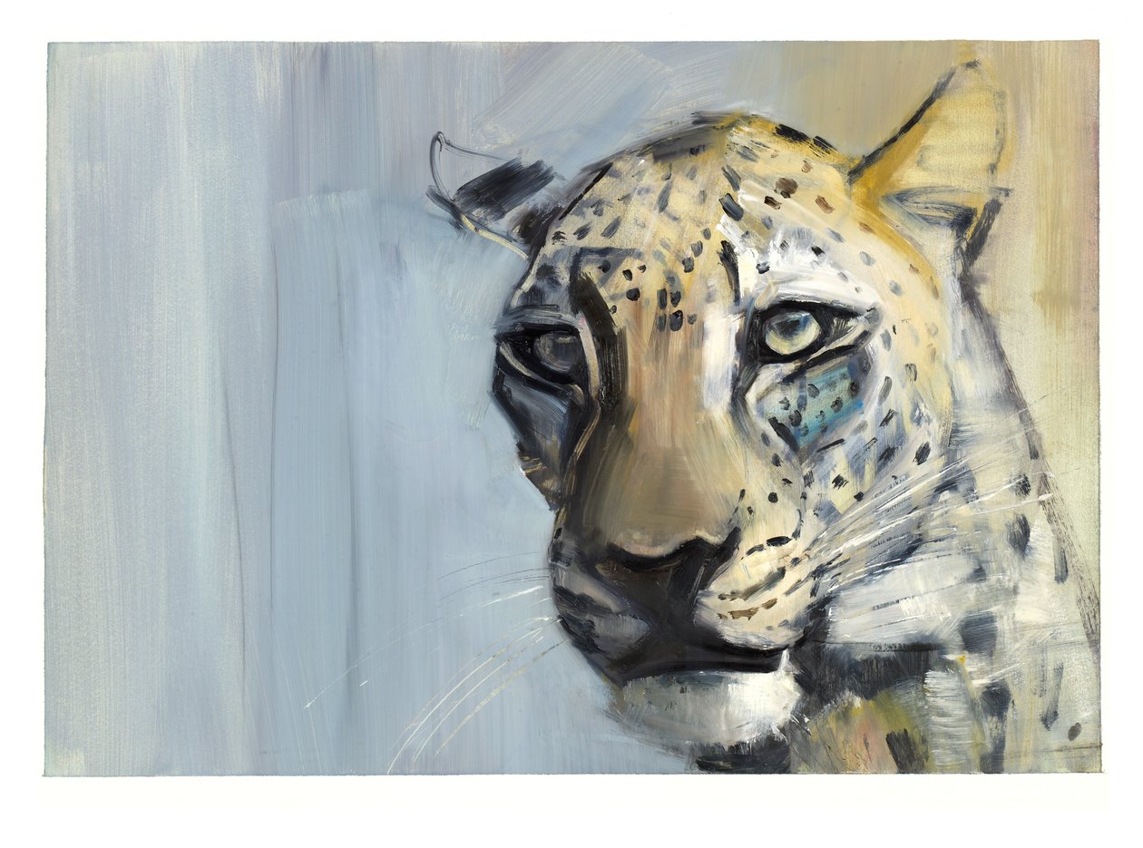 Predador (Leopardo Árabe), 2009 (óleo sobre papel) de Mark Adlington