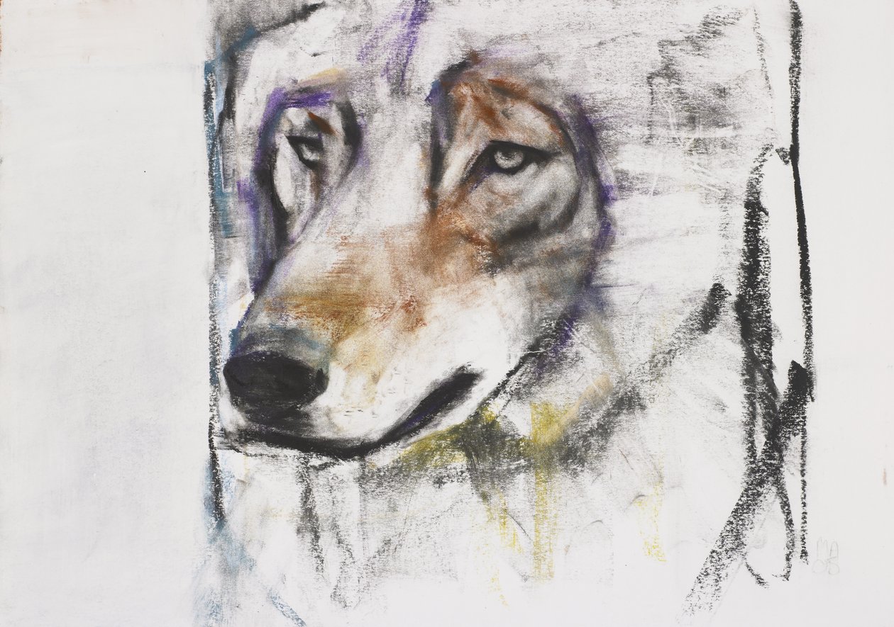 The Wolf Process (mídia mista no papel) de Mark Adlington