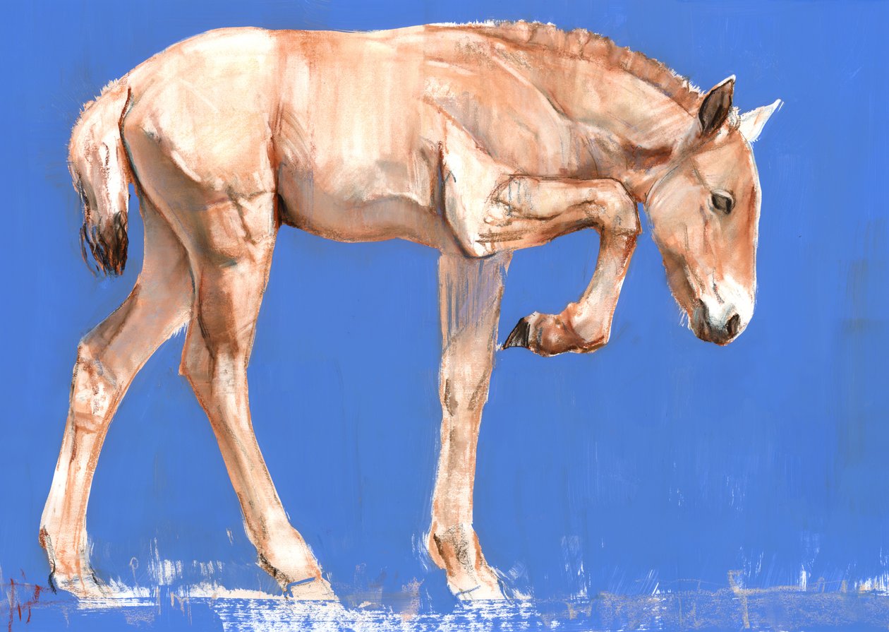 Przewalski Foal, 2012, (mídia mista no papel) de Mark Adlington