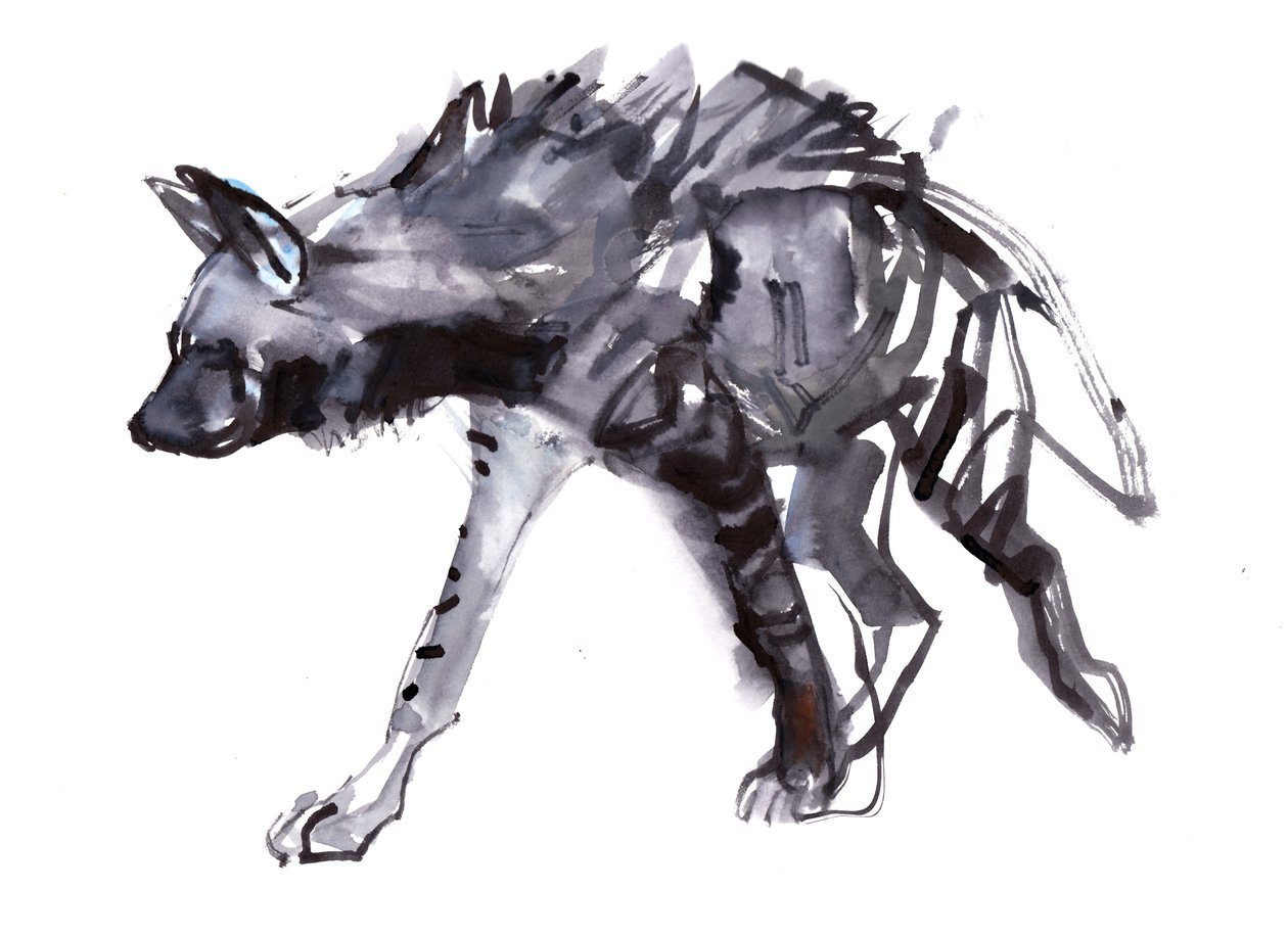 Ragamuffin, 2010, (aguarela sobre papel) de Mark Adlington