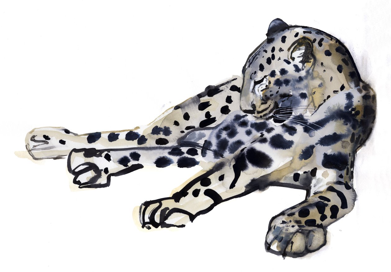 Reclinada (Leopardo Árabe), 2008 de Mark Adlington
