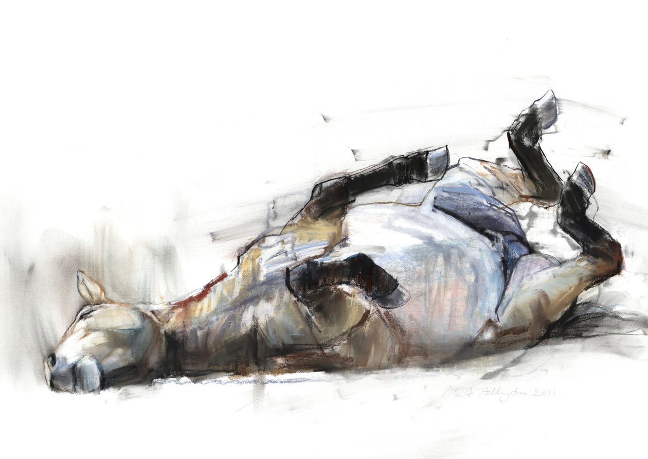 Rolling Rolling Rolling, 2011, (carvão, conté e pastel sobre papel) de Mark Adlington