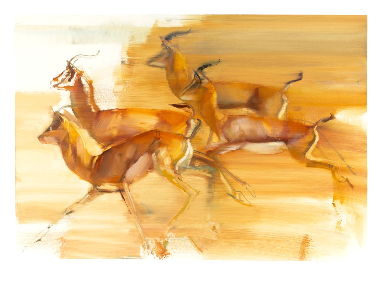 Running Gazelles, 2010 (óleo sobre papel) de Mark Adlington