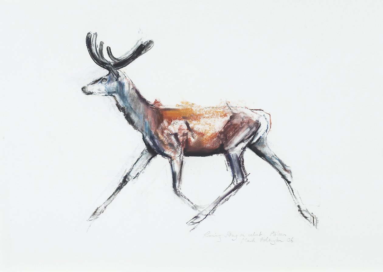 Running Stag em veludo, Polsen, 2006 (carvão vegetal e papel) de Mark Adlington