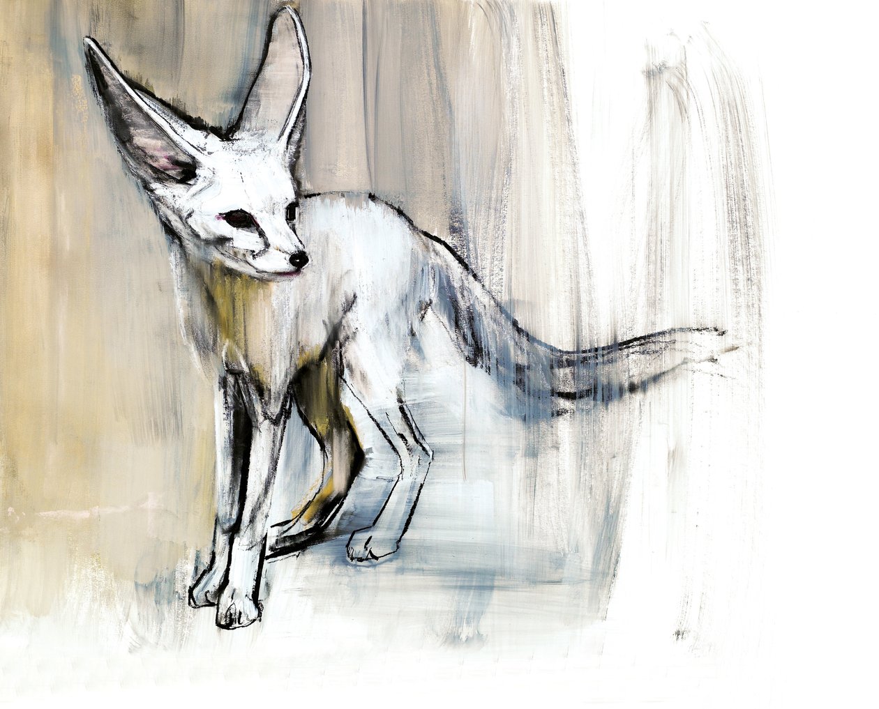 Sand Fox, 2009 (conte und charcoal on paper) de Mark Adlington
