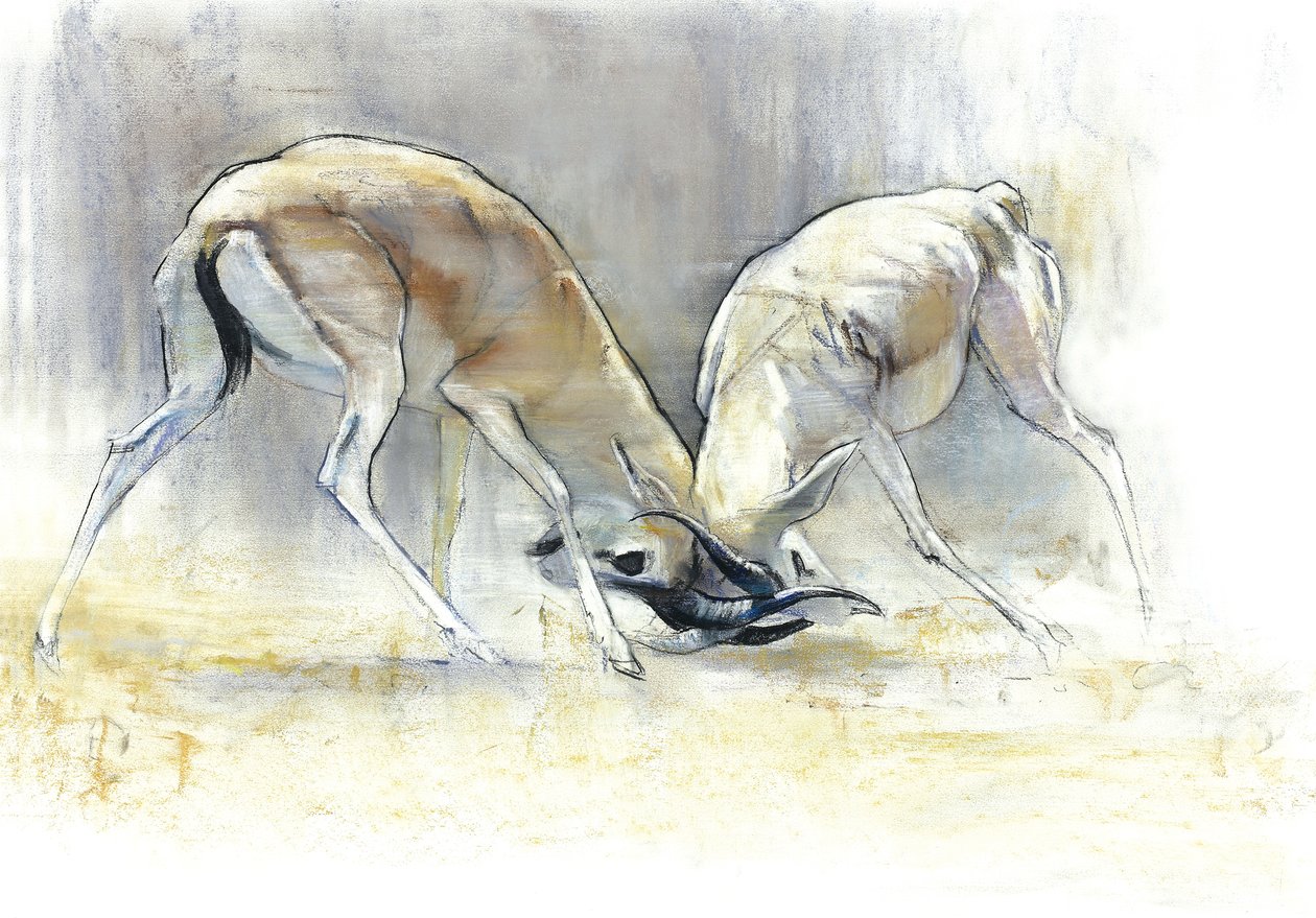 Sand Gazelles, 2009 (desprezo & carvão sobre papel) de Mark Adlington