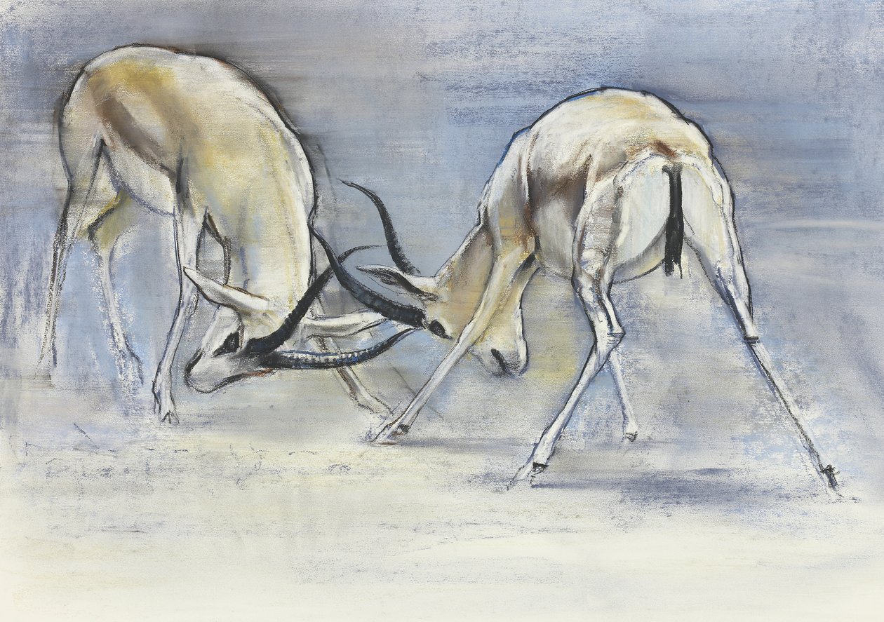 Sand Gazelles, 2009 (conte e carvão no papel) de Mark Adlington