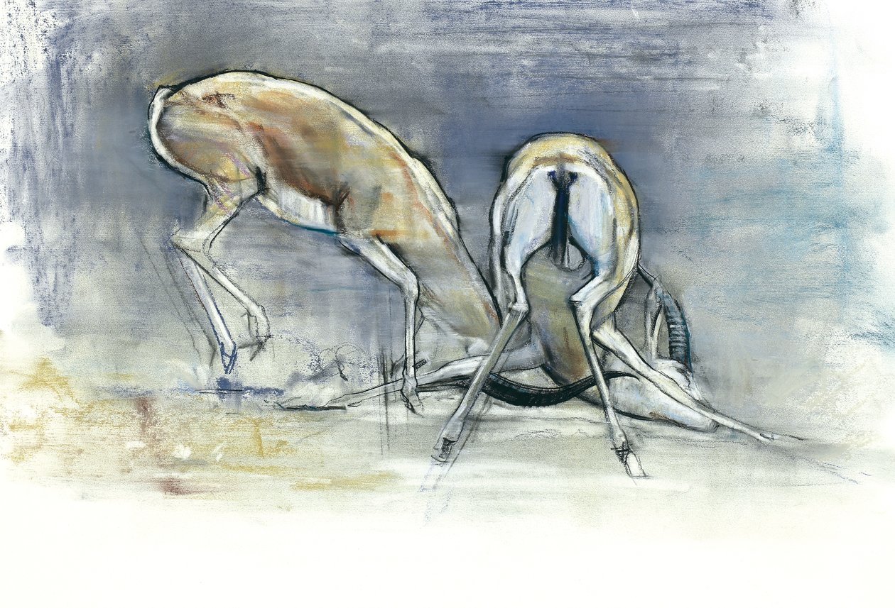 Sand Gazelles, 2009 (conte e carvão no papel) de Mark Adlington