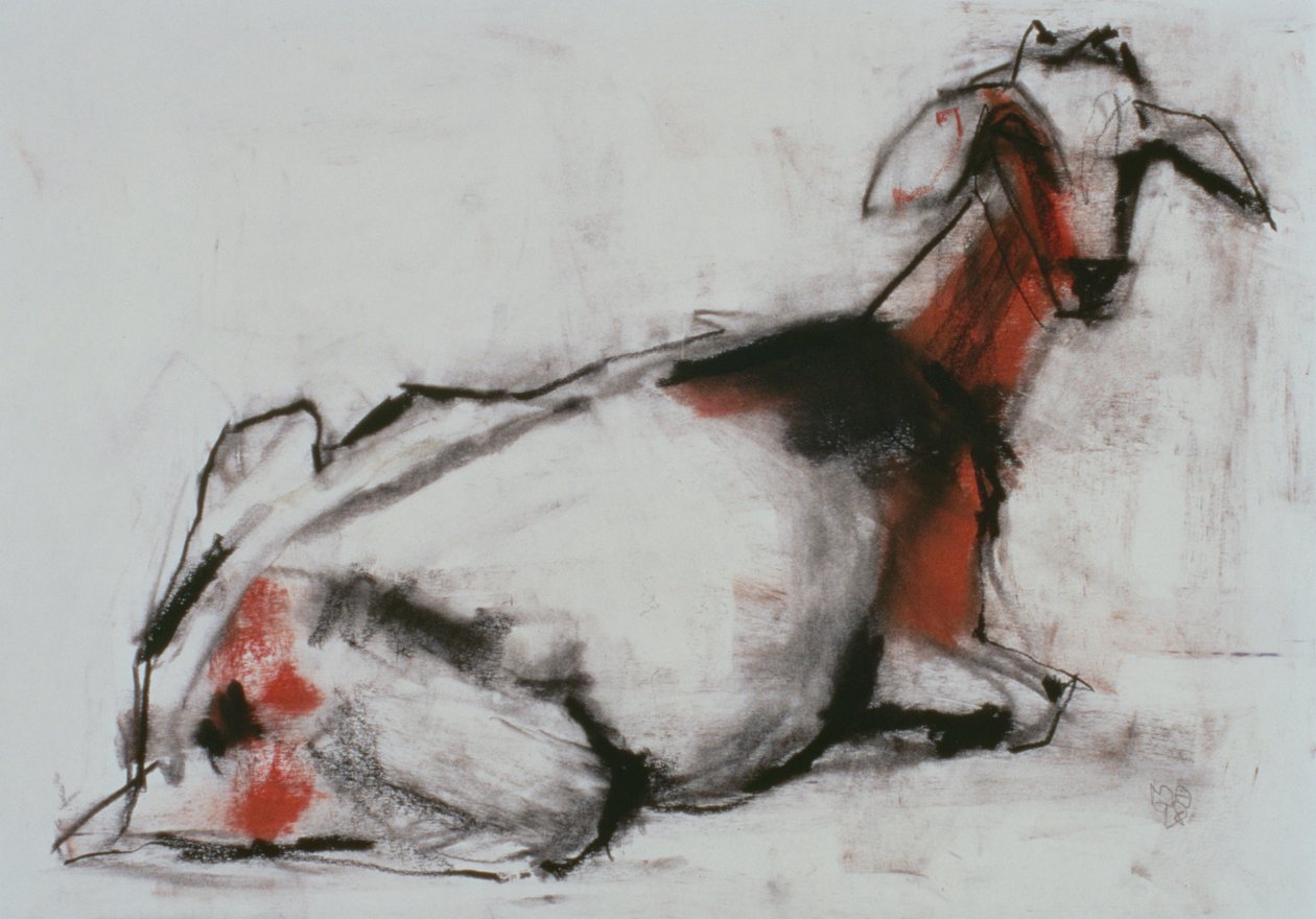 Cabra sentada, 1998 (conte e carvão no papel) de Mark Adlington
