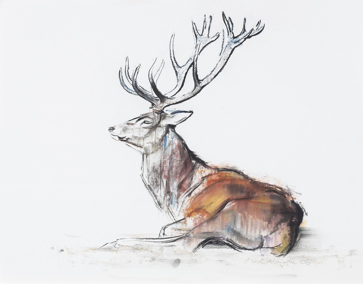 Veado sentado, 2006 (carvão vegetal e papel) de Mark Adlington