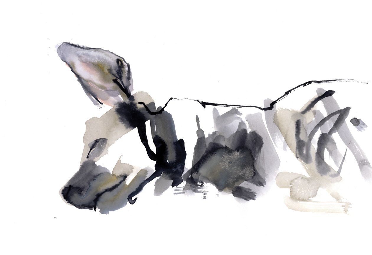 Sleeping Hyaena, 2010, (aguarela sobre papel) de Mark Adlington