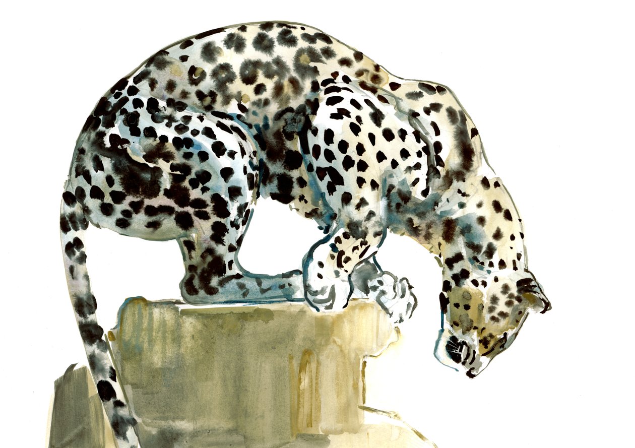 Spine (Arabian Leopard), 2015, (aquarela e guache sobre papel) de Mark Adlington