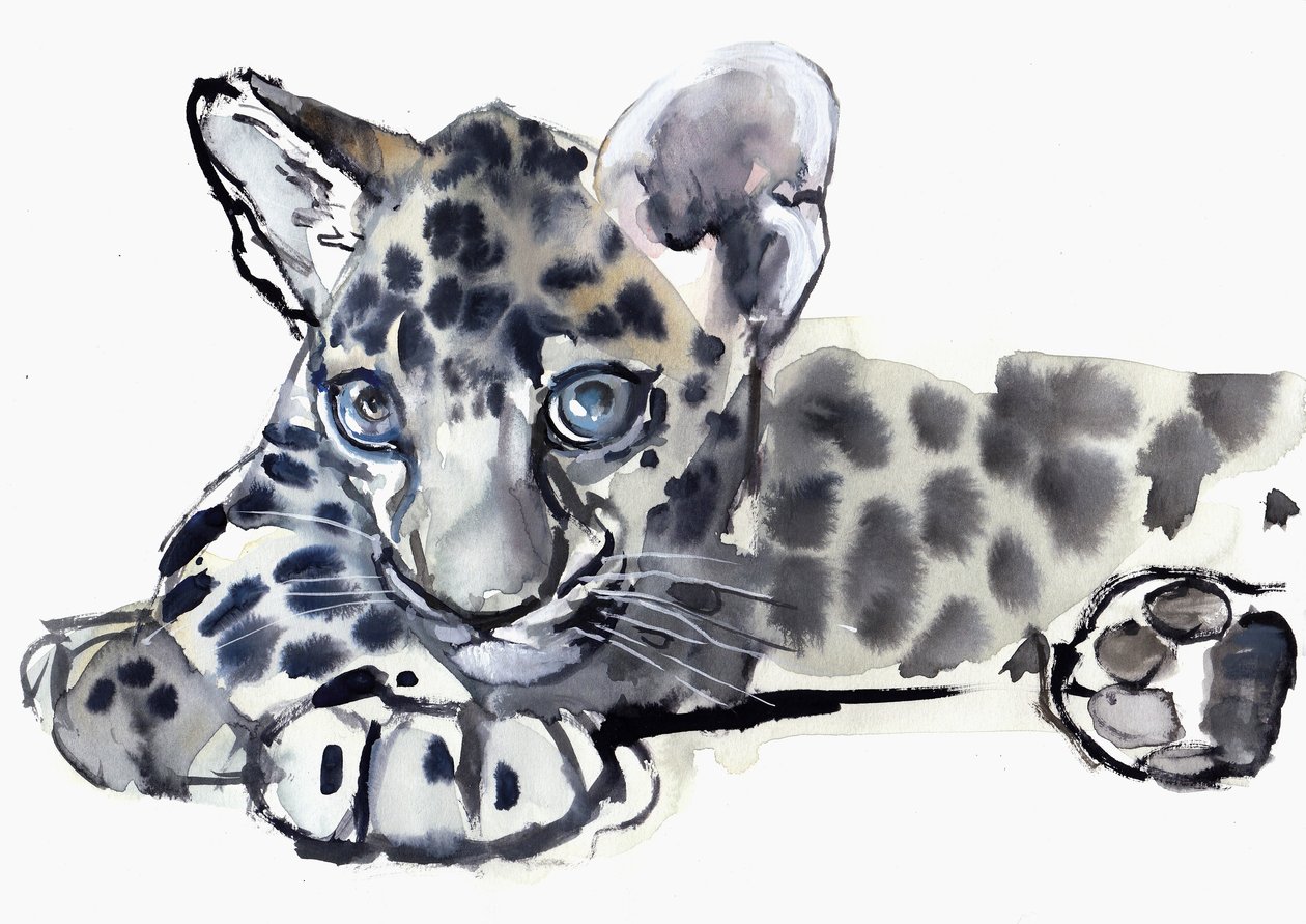 Manchado (filhote de leopardo Árabe), 2008 de Mark Adlington