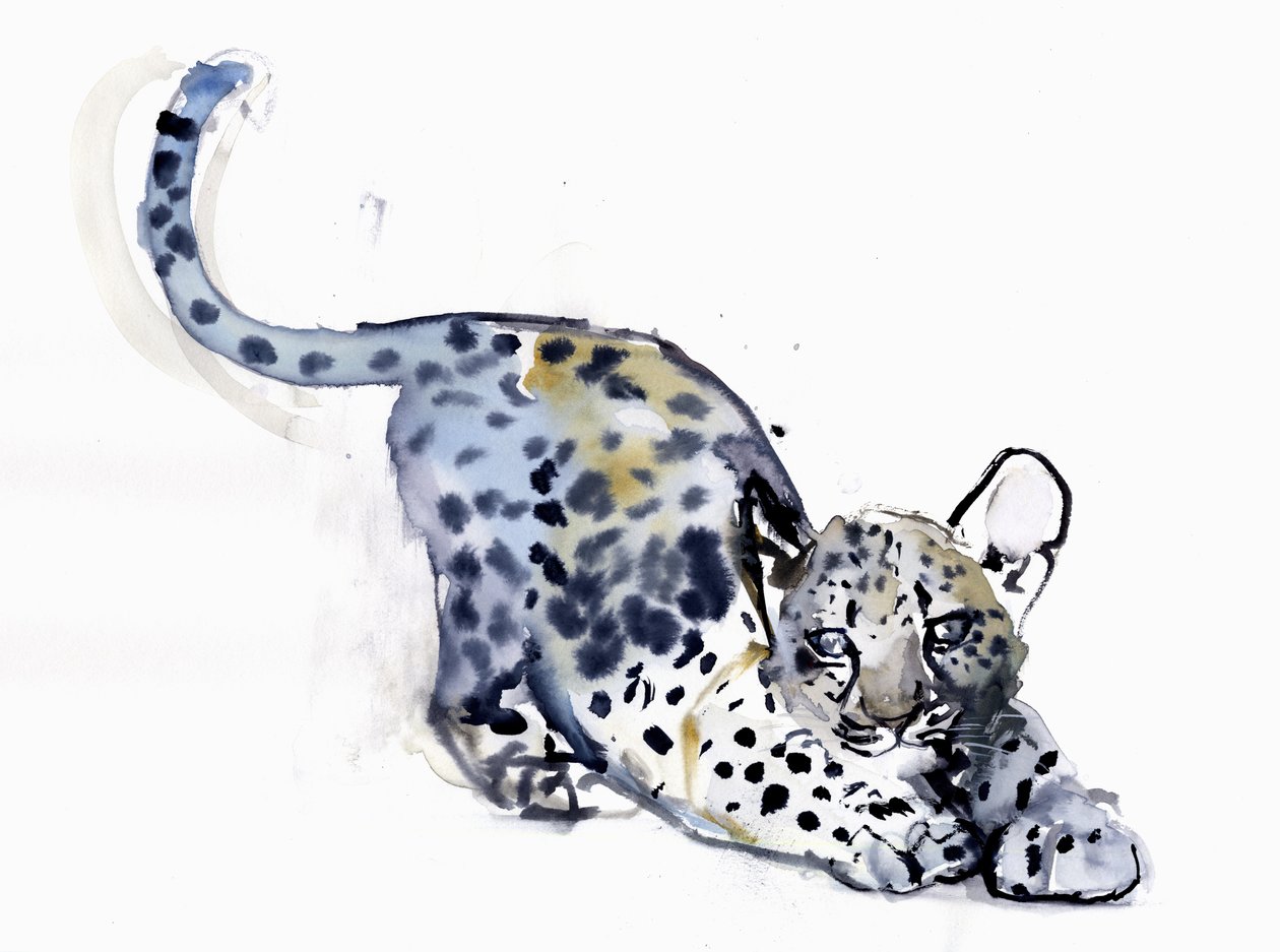 Esticando o filhote (leopardo árabe), 2008 de Mark Adlington