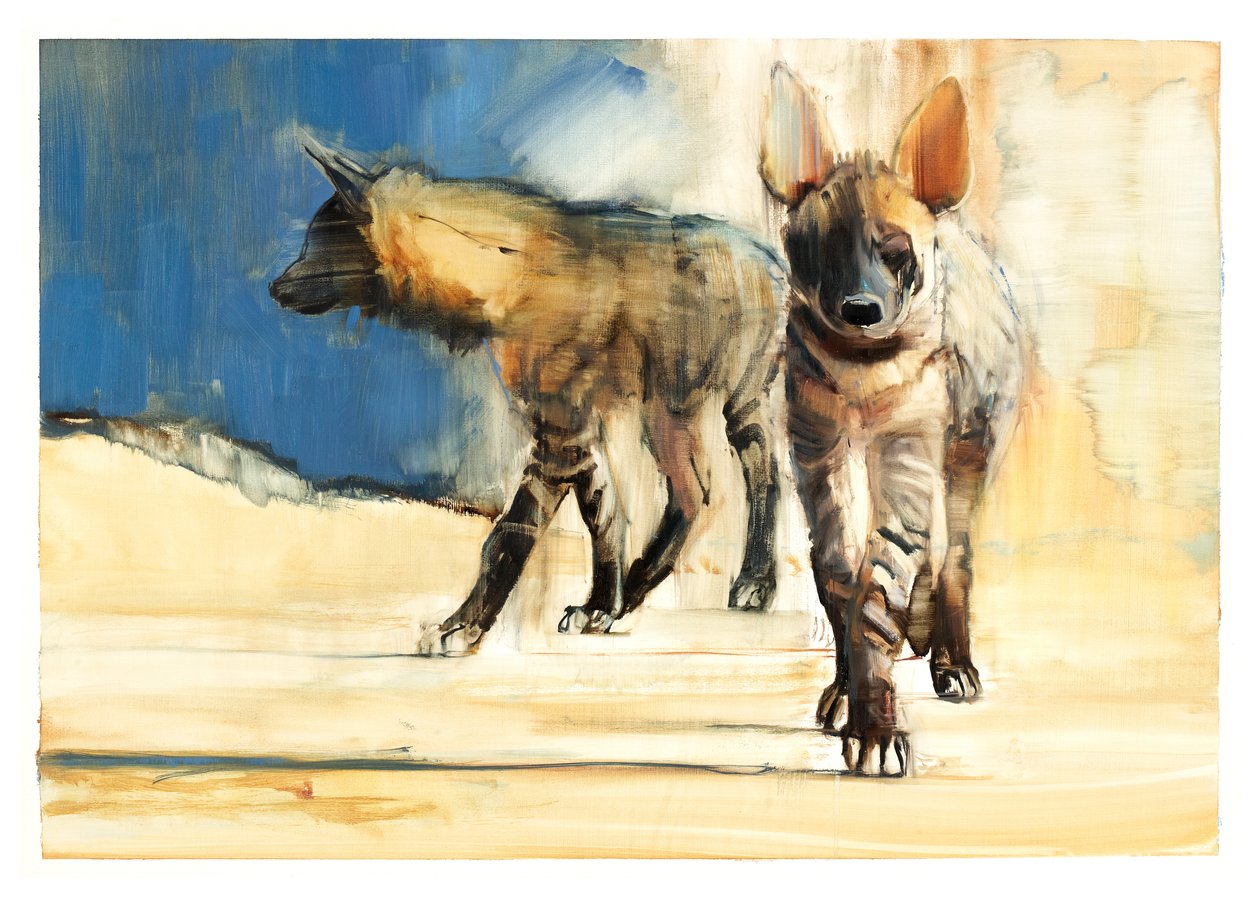 Hyaenas Listradas, 2010 (óleo sobre papel) de Mark Adlington